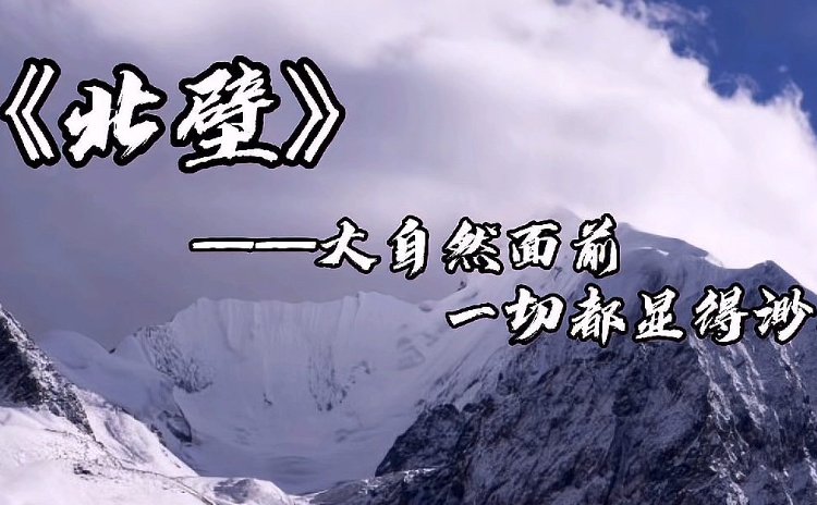 20部必看荒野生存的电影