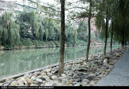 成都沙河公园事件背后的秘密是什么？