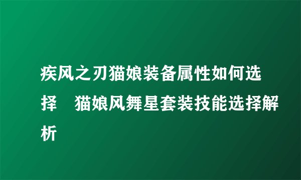 疾风之刃猫娘装备属性如何选择 猫娘风舞星套装技能选择解析