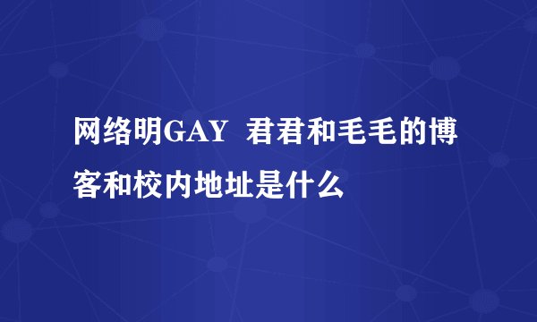 网络明GAY  君君和毛毛的博客和校内地址是什么