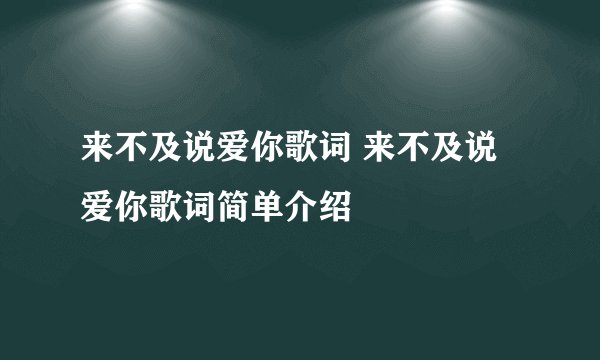 来不及说爱你歌词 来不及说爱你歌词简单介绍