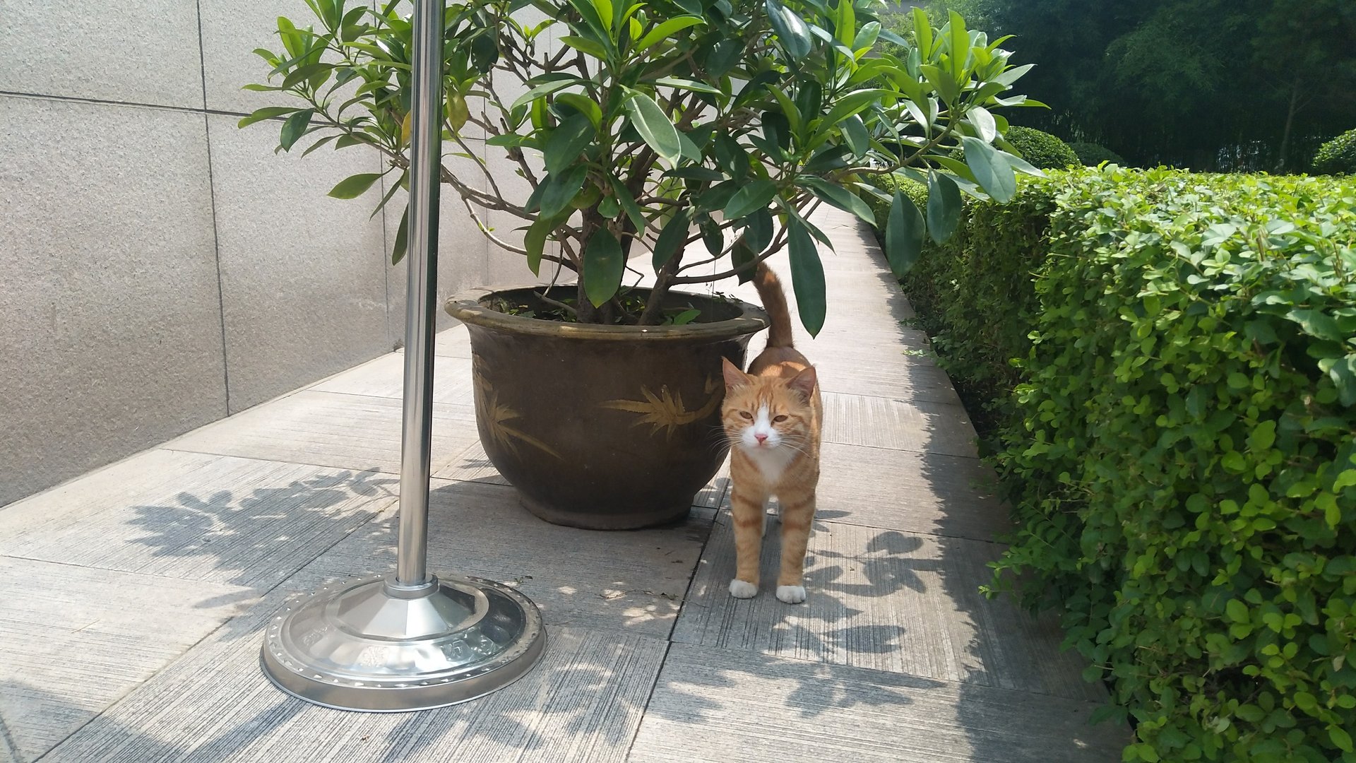 种树者必培其什么种德者必养其什么