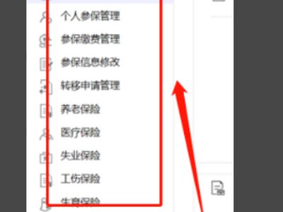 深圳社保查询个人网页（http://e.szsi.gov.cn/）怎么总登不上呢