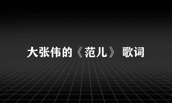 大张伟的《范儿》 歌词
