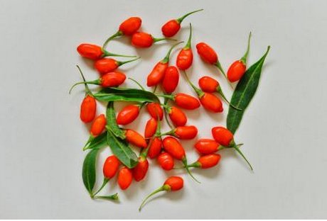 黑米黑豆黑芝麻核红枣枸杞有什么作用