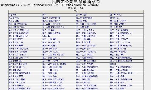 我的黑帮老公的作者简介