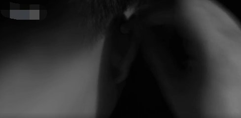 蜂鸟牌怎么变？(纸片飞旋魔术）