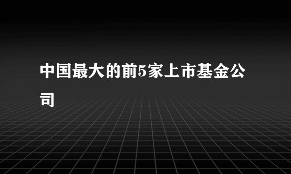 中国最大的前5家上市基金公司