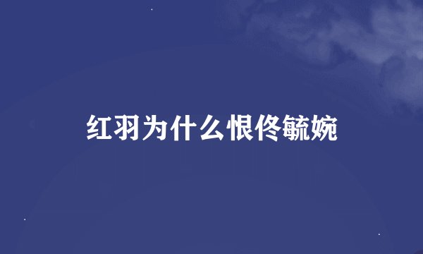 红羽为什么恨佟毓婉