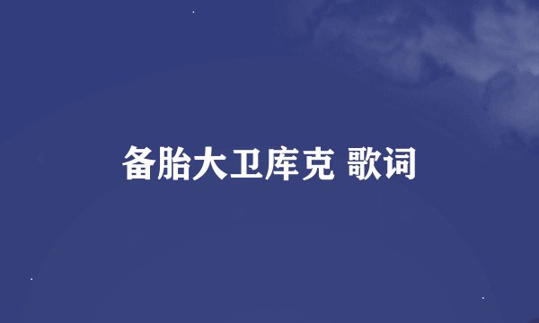 备胎大卫库克 歌词