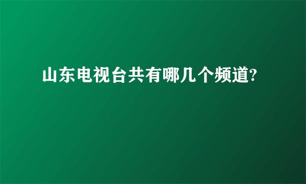 山东电视台共有哪几个频道?