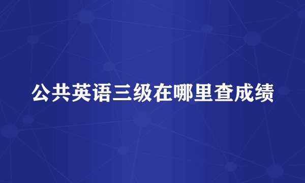 公共英语三级在哪里查成绩