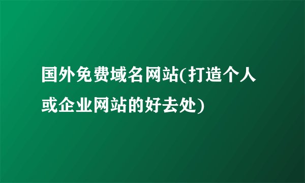 国外免费域名网站(打造个人或企业网站的好去处)