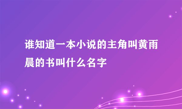 谁知道一本小说的主角叫黄雨晨的书叫什么名字
