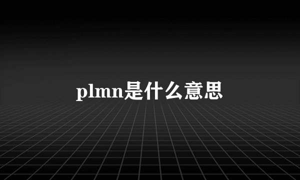 plmn是什么意思