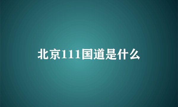 北京111国道是什么