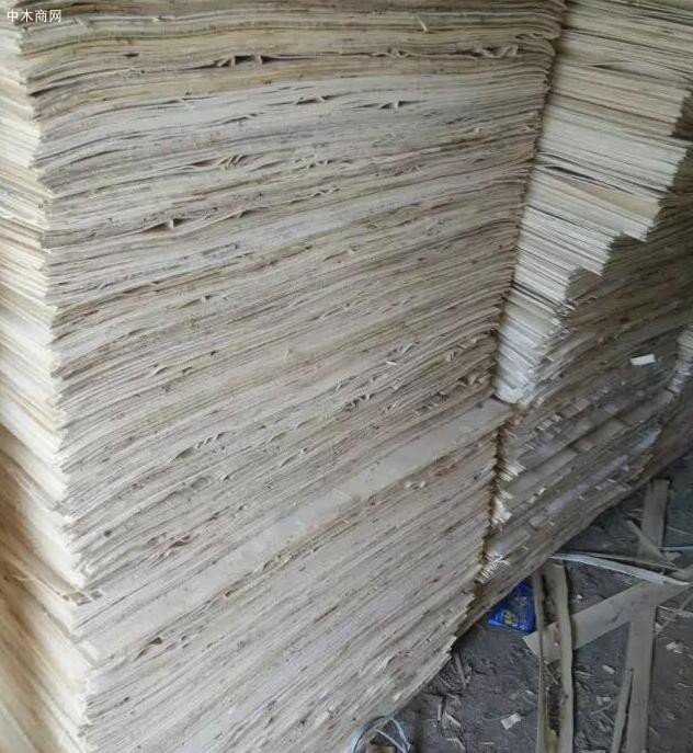 杨木木皮价格谁知道啊 进来看下！！