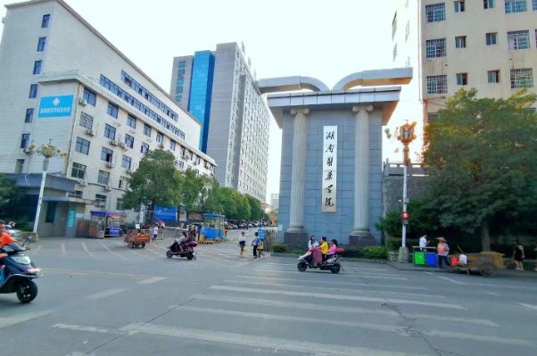 湖南医药学院专业分数线