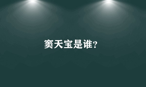 窦天宝是谁？