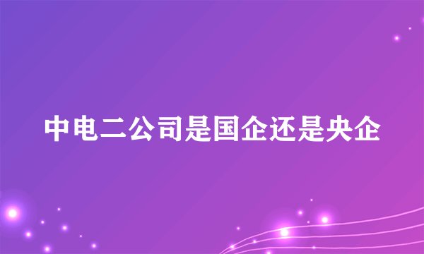 中电二公司是国企还是央企