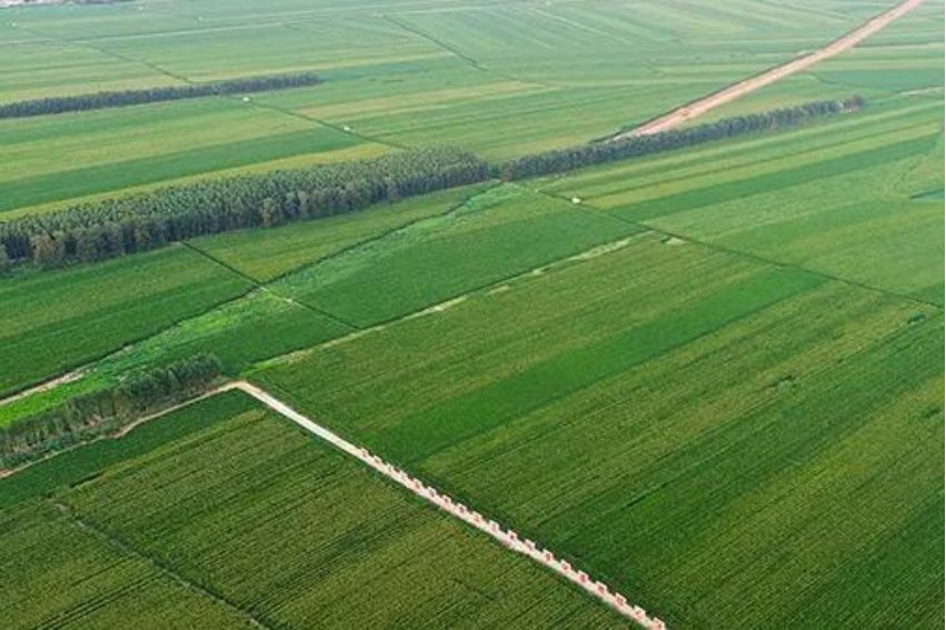 公顷的单位换算是什么？