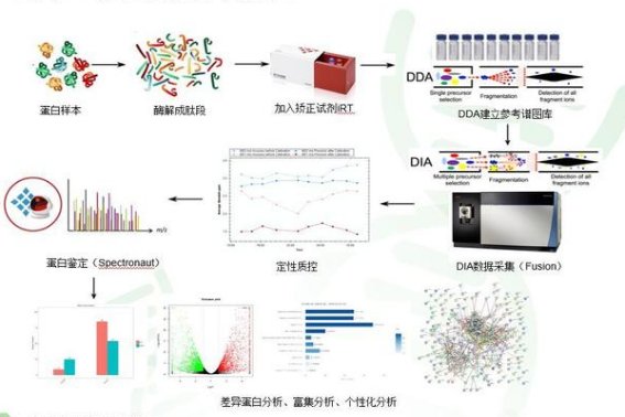 蛋白质组学三大基本技术