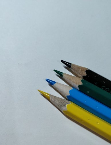 一只和平鸽的画法