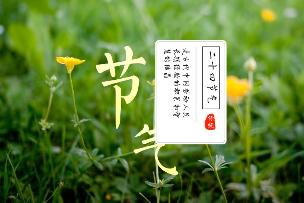 二十四节气里惊蛰的蛰是什么意思小鸡