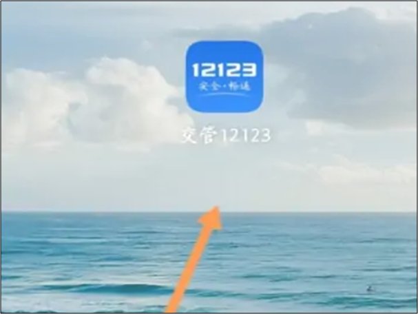 12123如何查看行驶证信息