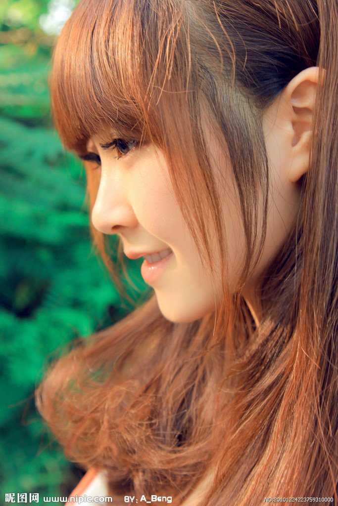 张禹凌的个人履历