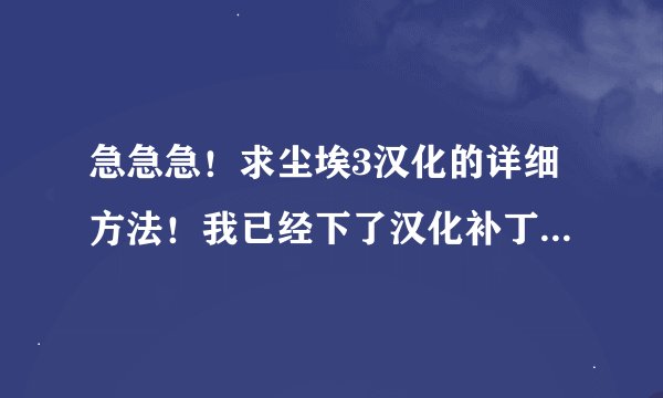 急急急！求尘埃3汉化的详细方法！我已经下了汉化补丁和注册表补丁，可还是不行