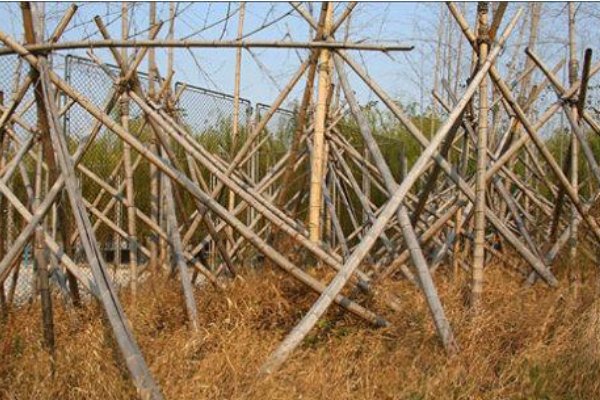 一个篱笆三个桩，一个好汉三个帮。 是什么意思？