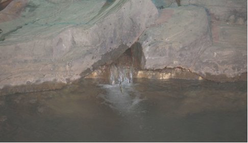 巨泉为什么会喷鱼？