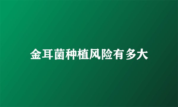 金耳菌种植风险有多大