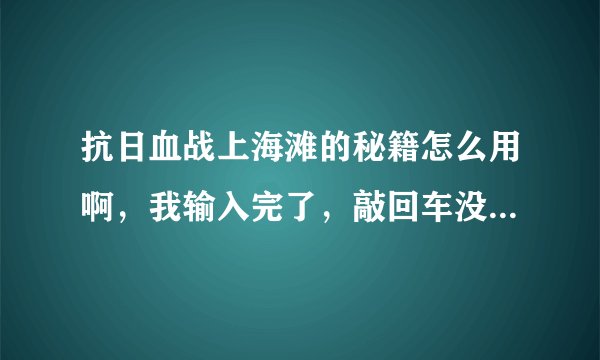 抗日血战上海滩的秘籍怎么用啊，我输入完了，敲回车没反应，急