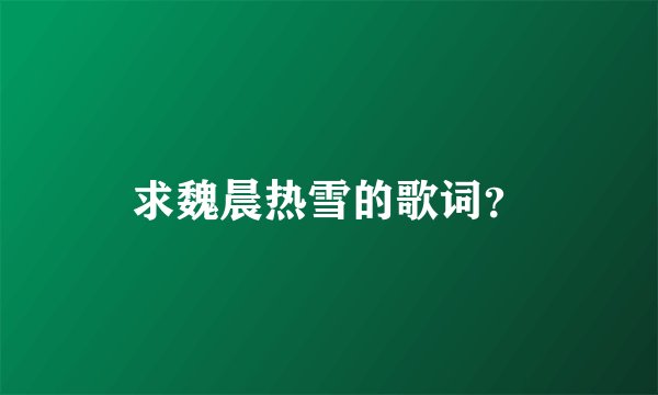 求魏晨热雪的歌词？