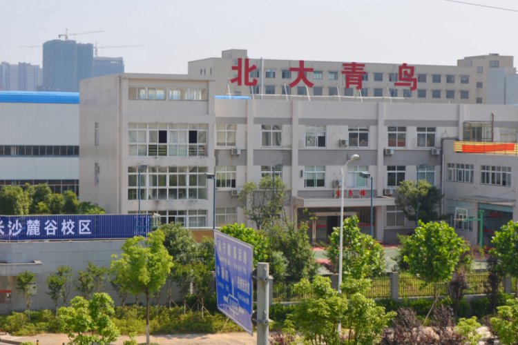 北大青鸟三年学费标准