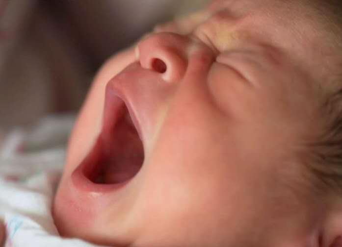 大连一小区老鼠窜上婴儿床，出生仅11天的婴儿多处被咬伤，到底怎么回事？