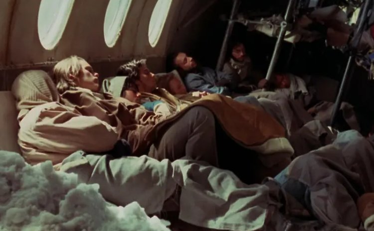 20部必看荒野生存的电影