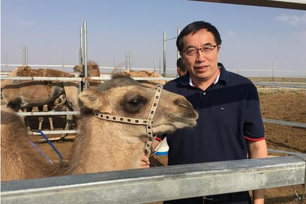 两只动物跑到现场看航天员落地,现场还有哪些细节意外出镜?