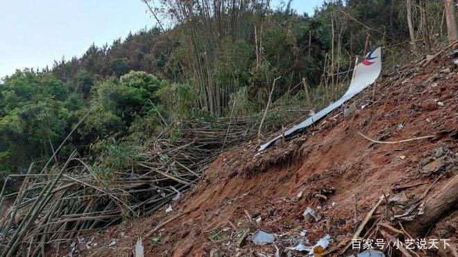 广西藤县回应建纪念碑建议，具体会如何部署？
