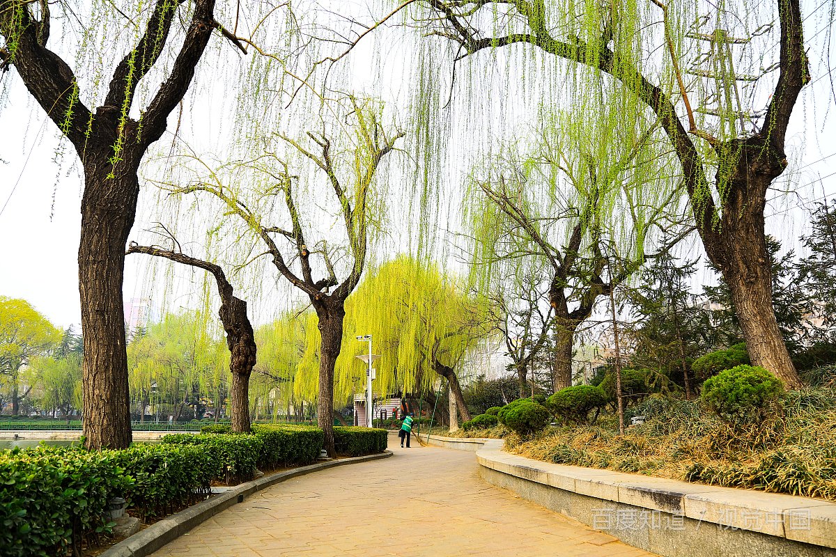 忙里偷闲是什么意思？