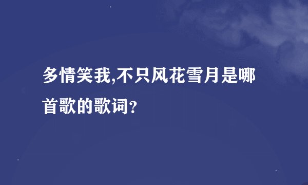 多情笑我,不只风花雪月是哪首歌的歌词？