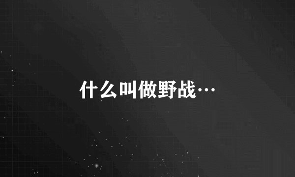 什么叫做野战…