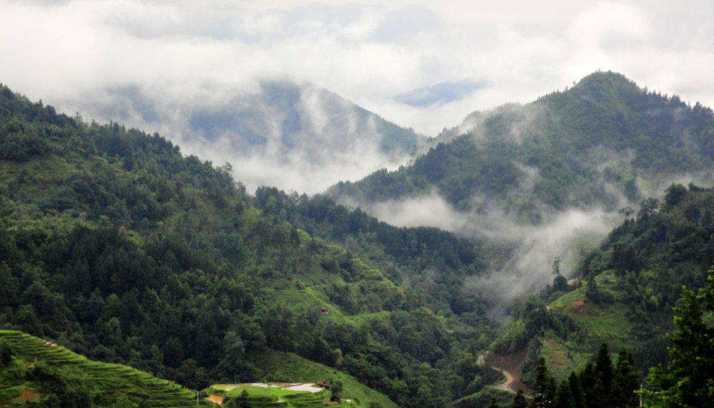 关于山野的网名
