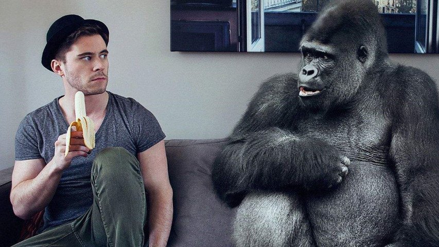 人和动物的根本区别是什么？