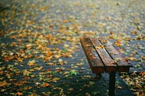 “一场秋雨，一场寒”有什么科学依据吗？