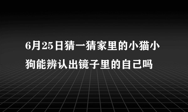 6月25日猜一猜家里的小猫小狗能辨认出镜子里的自己吗