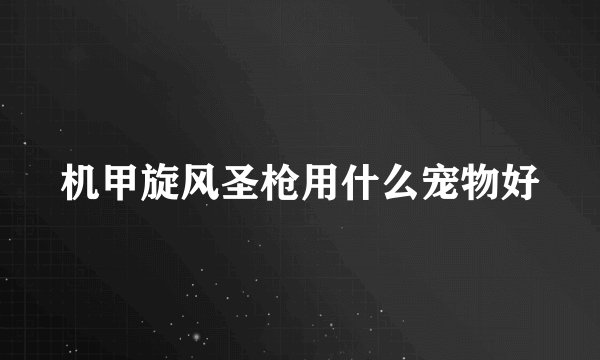 机甲旋风圣枪用什么宠物好