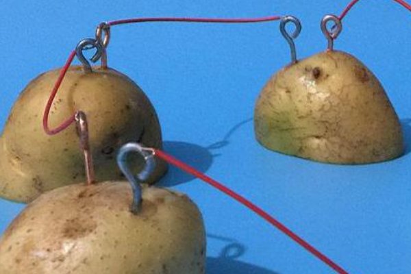 土豆发电的原理